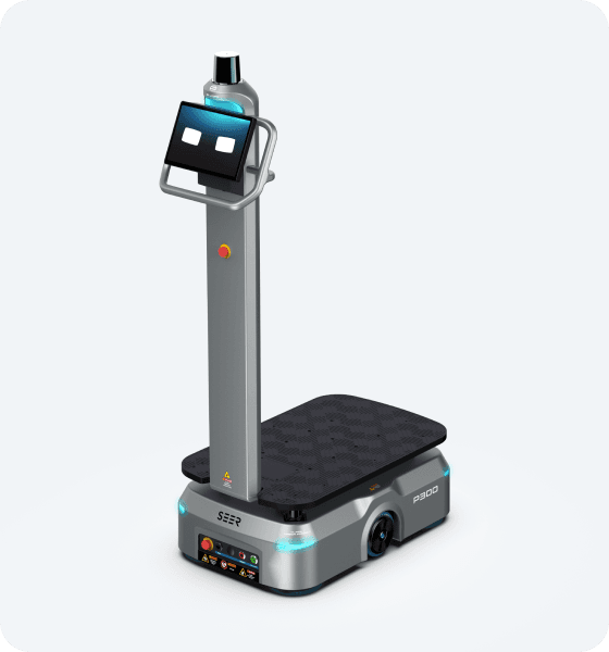 P300